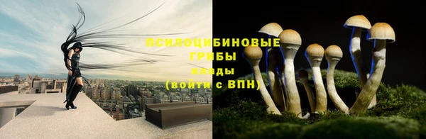 герыч Няндома