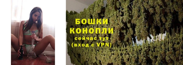 эйфоретик Новозыбков