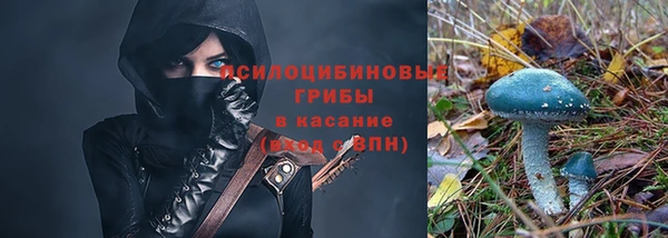 герыч Няндома