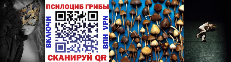 Галлюциногенные грибы Psilocybine cubensis Ленинск