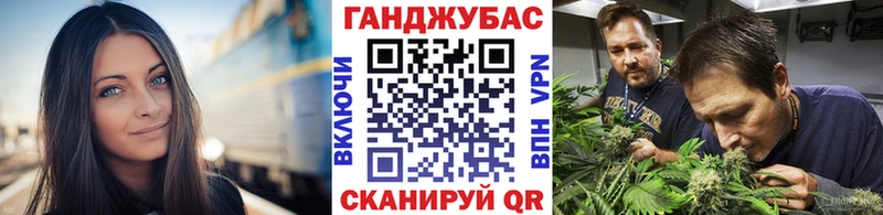 KRAKEN   Ленинск  Шишки марихуана Amnesia 